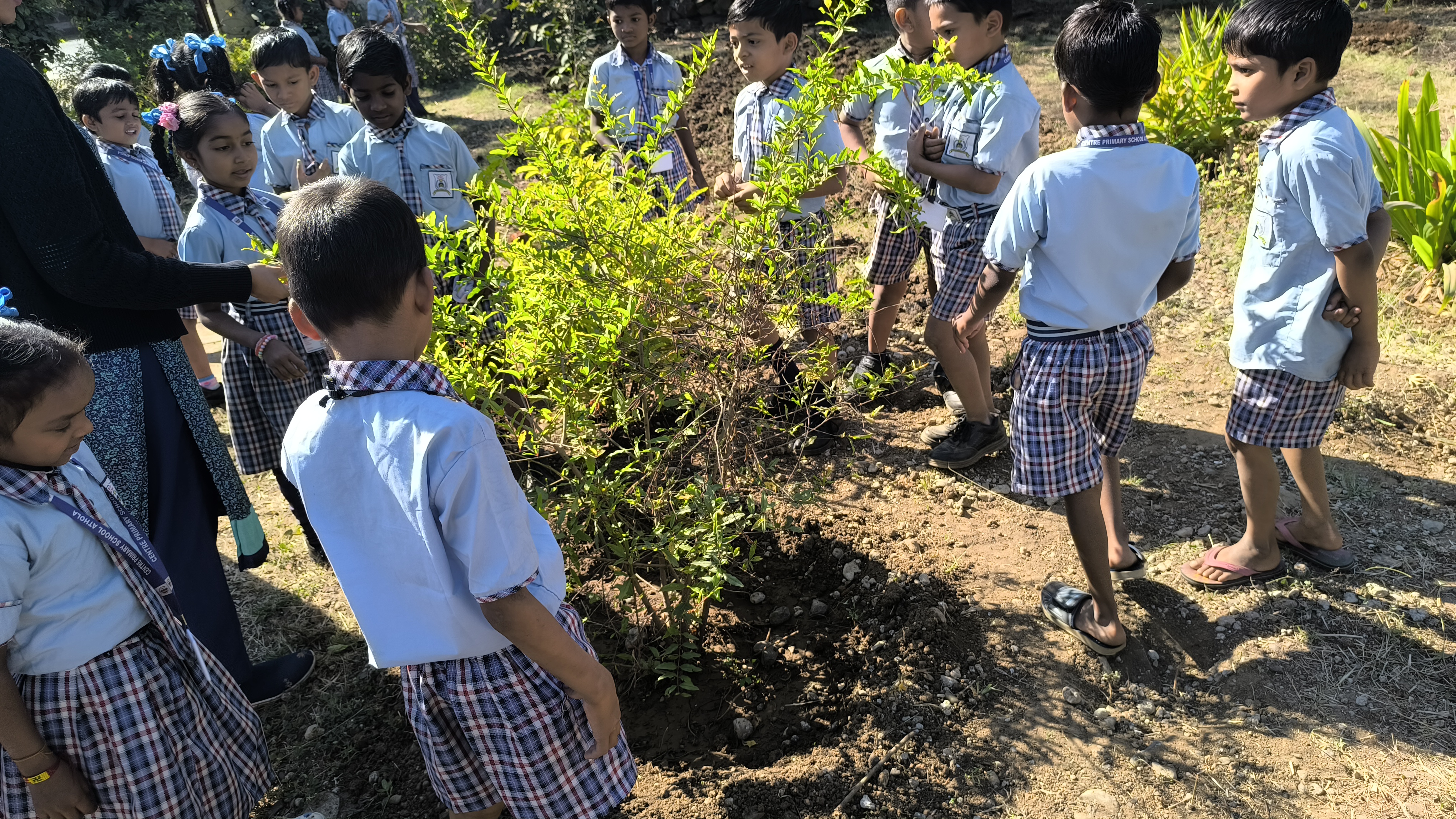 Children on an outdoor learning walk